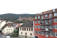 Heidelberg011