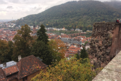 Heidelberg023