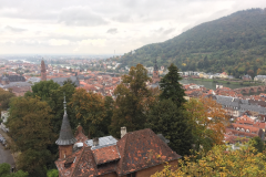 Heidelberg024