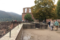 Heidelberg025