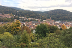 Heidelberg086