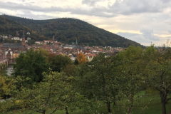 Heidelberg087