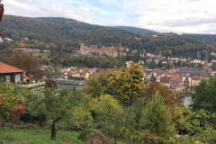 Heidelberg088