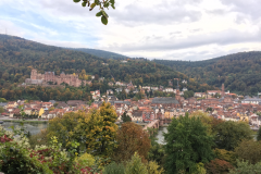 Heidelberg090